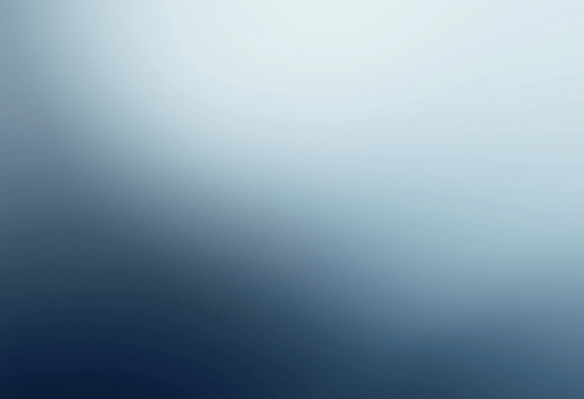 Premium automotive window tinting and protection services offered by Autograff Mobile Tint.